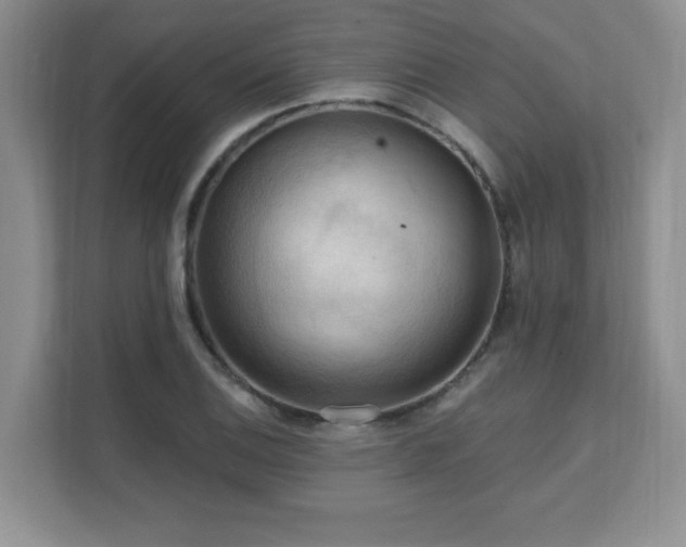 X0000111361124200907101225