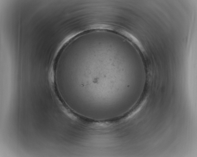 X0000111361125200907101225