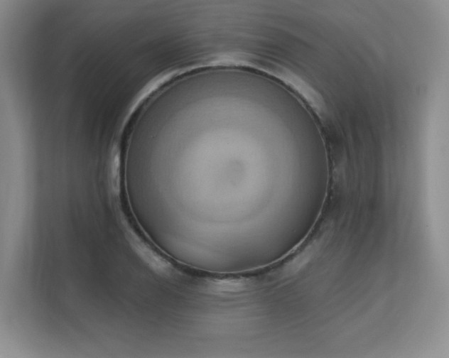 X0000111361126200907101225