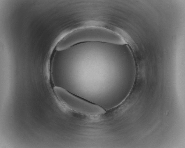 X0000111361128200907101225