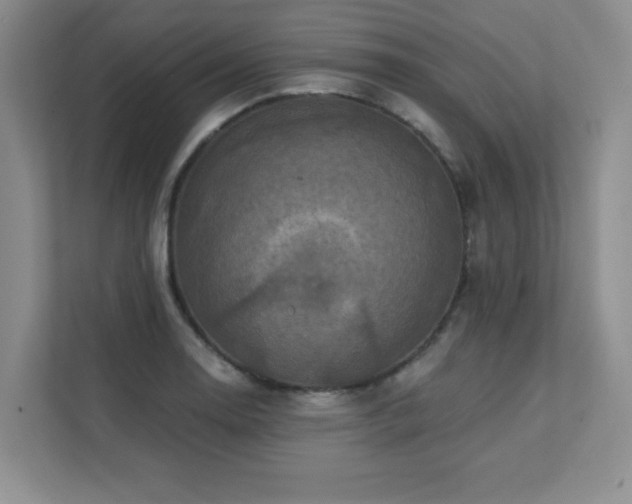 X0000111361130200907101225
