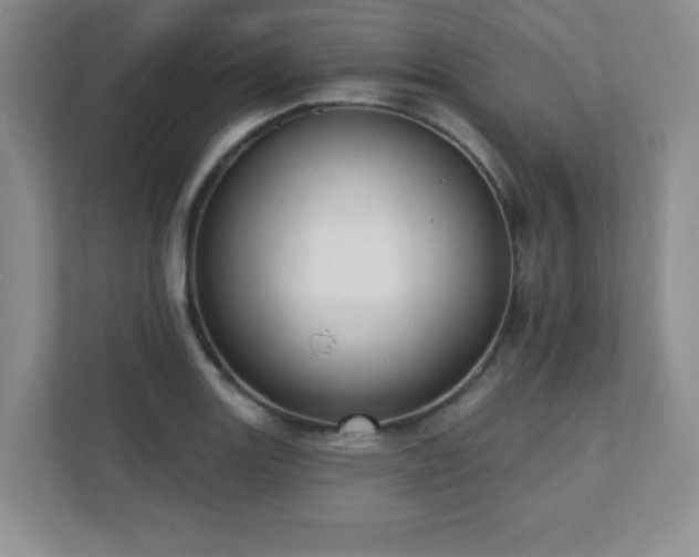 X0000111361131200907101225