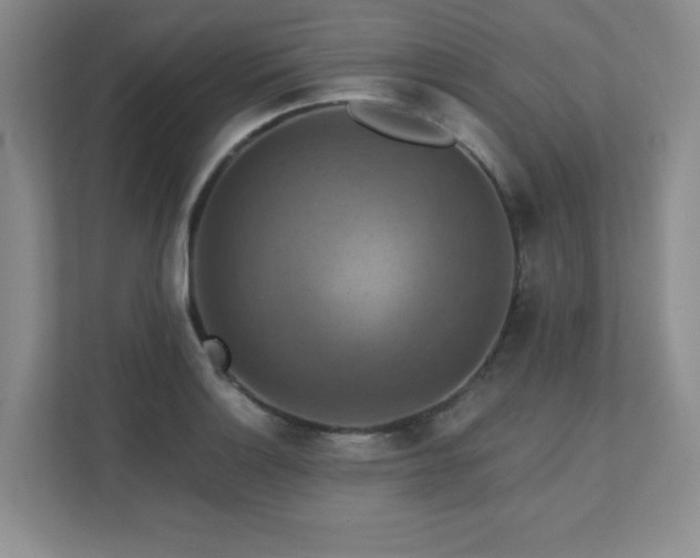X0000111361132200907101225
