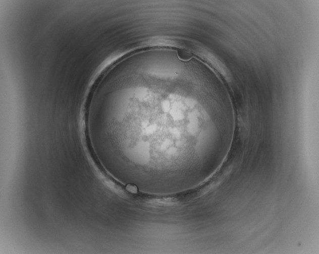 X0000111361133200907101225