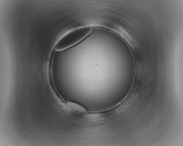X0000111361134200907101225