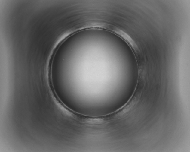 X0000111361135200907101225