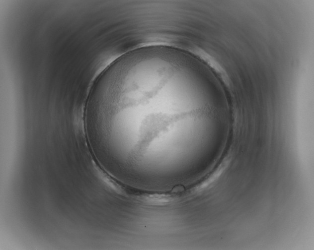 X0000111361137200907101225
