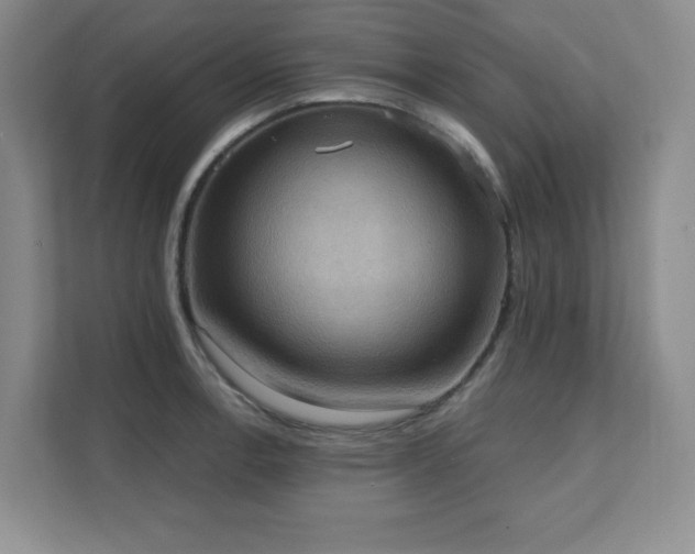 X0000111361138200907101225