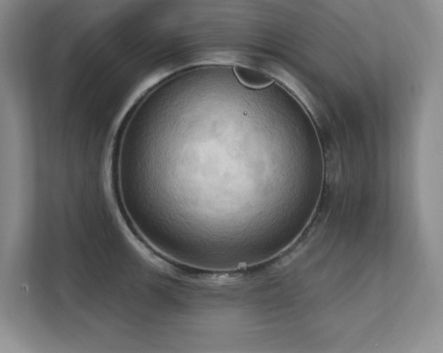 X0000111361139200907101225