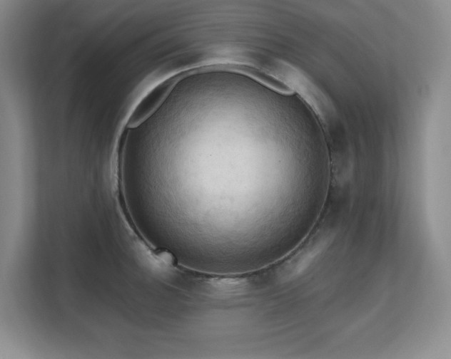 X0000111361140200907101225