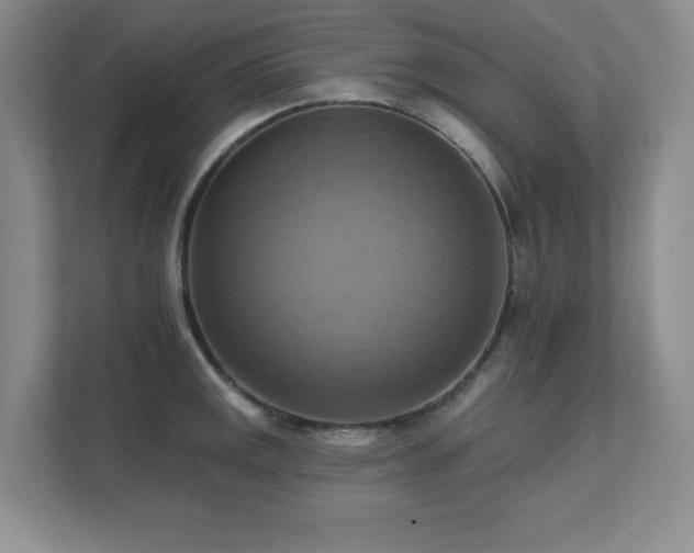 X0000111361141200907101225