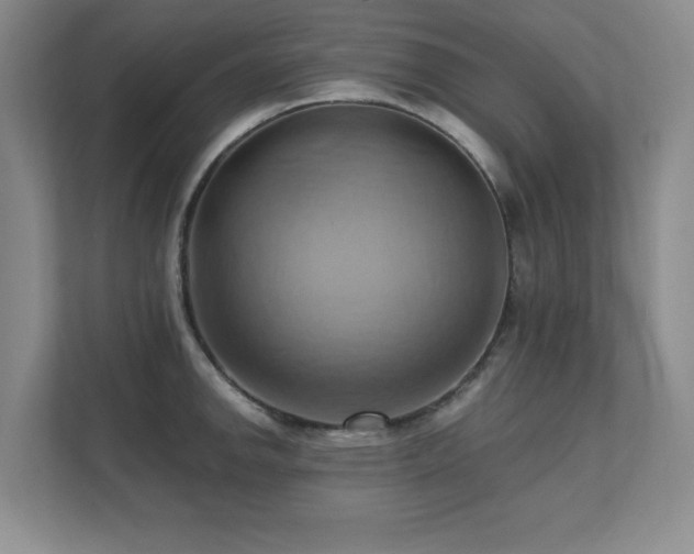 X0000111361142200907101225