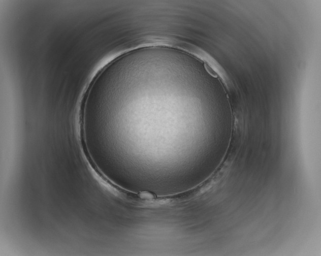 X0000111361143200907101225
