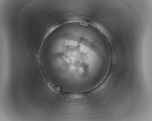 X0000111361145200907101225