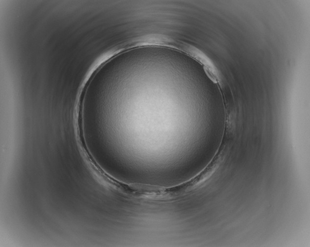 X0000111361146200907101225