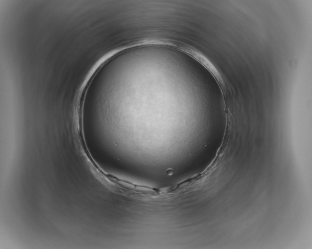 X0000111361148200907101225