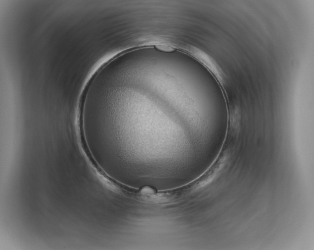 X0000111361149200907101225