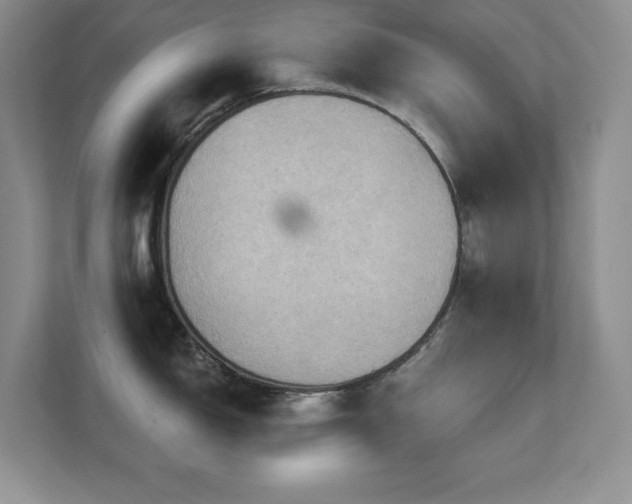 X0000111361150200907101225