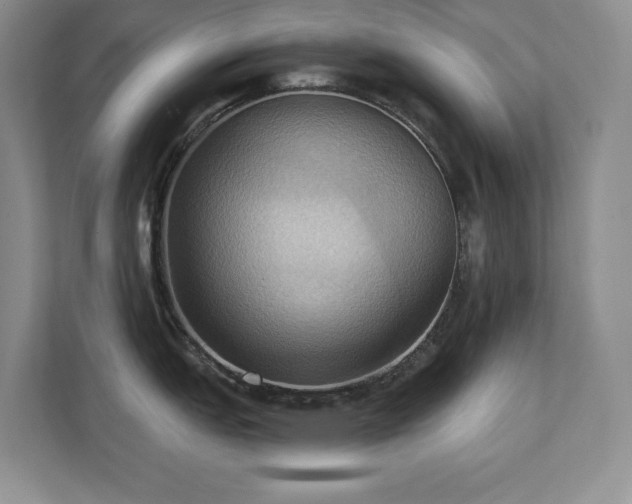 X0000111361151200907101225