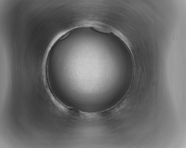 X0000111361152200907101225