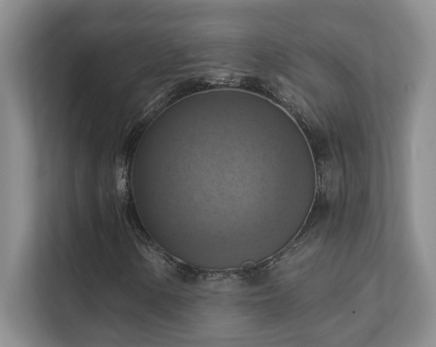X0000111361154200907101225
