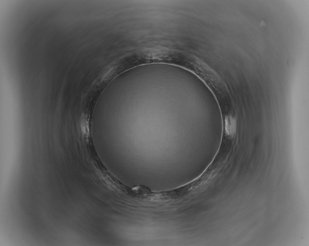 X0000111361155200907101225