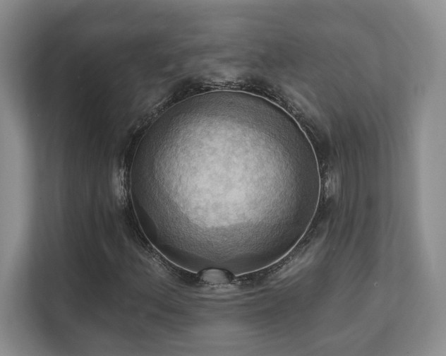 X0000111361156200907101225