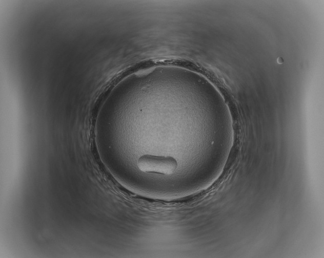 X0000111361157200907101225