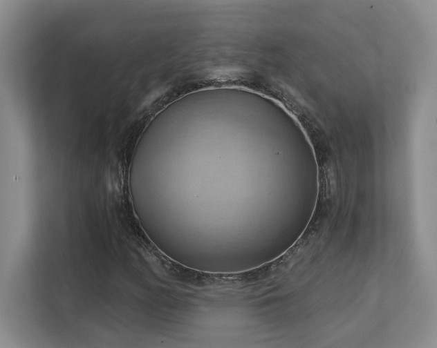 X0000111361158200907101225