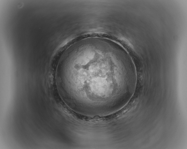 X0000111361159200907101225