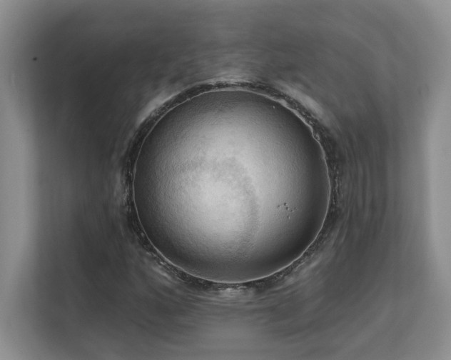X0000111361160200907101225