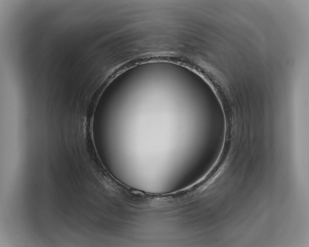 X0000111361161200907101225
