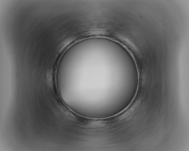 X0000111361162200907101224