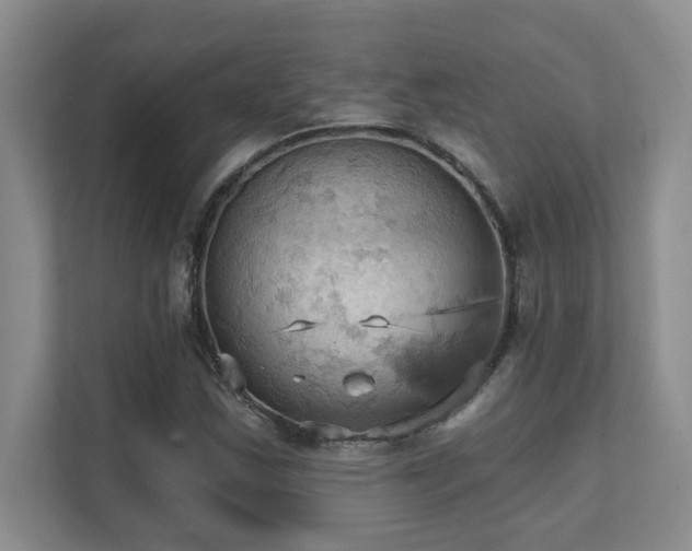 X0000111361163200907101224