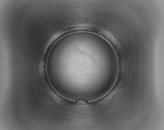 X0000111361164200907101224