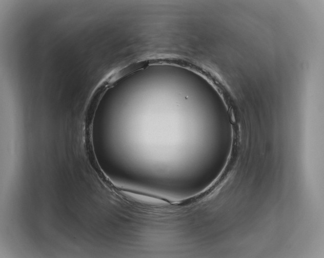 X0000111361165200907101224