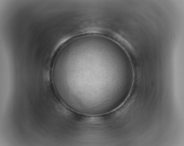 X0000111361166200907101224