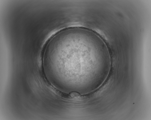 X0000111361167200907101224