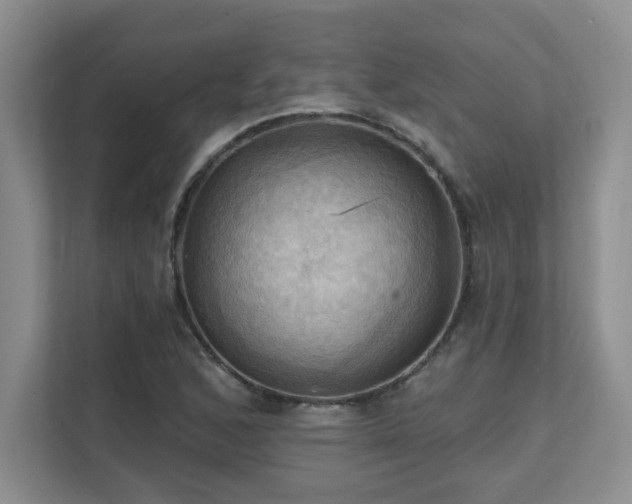 X0000111361168200907101224