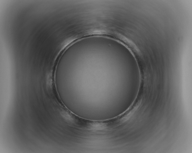 X0000111361170200907101224