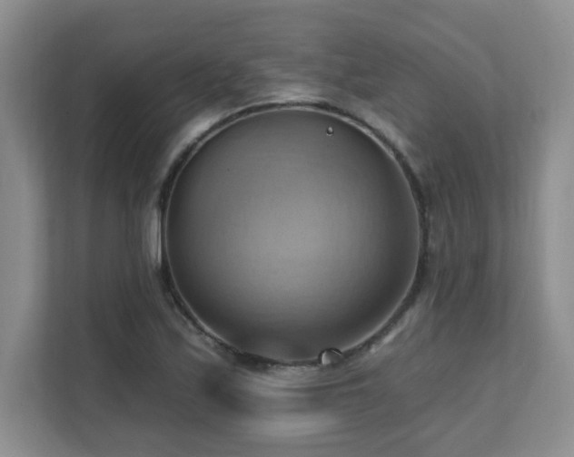 X0000111361171200907101224