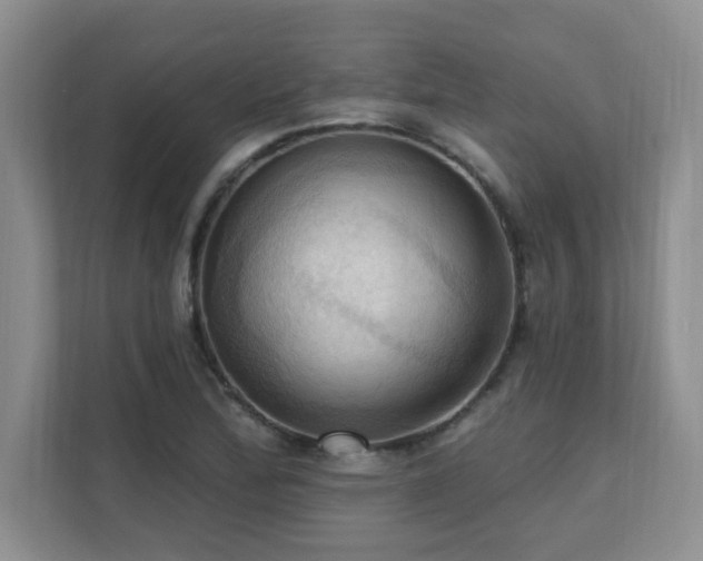 X0000111361172200907101224