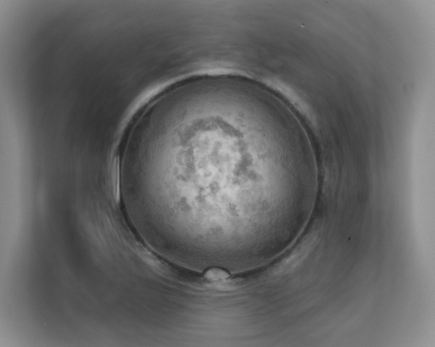 X0000111361175200907101224