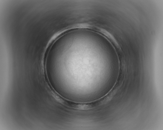 X0000111361176200907101224