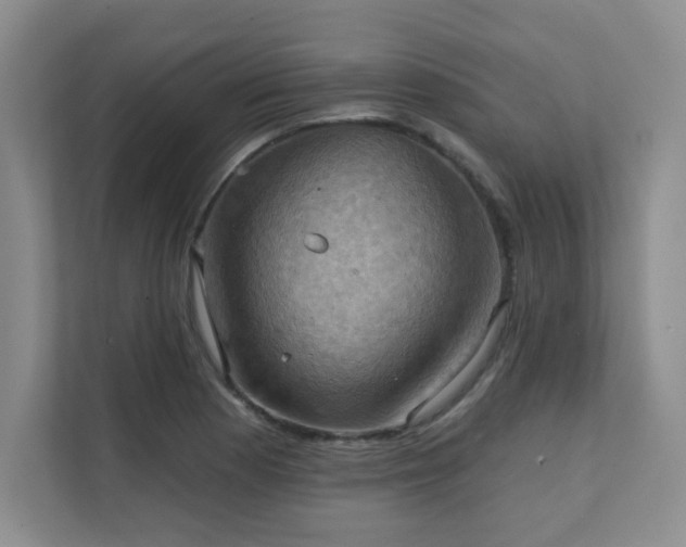 X0000111361177200907101224