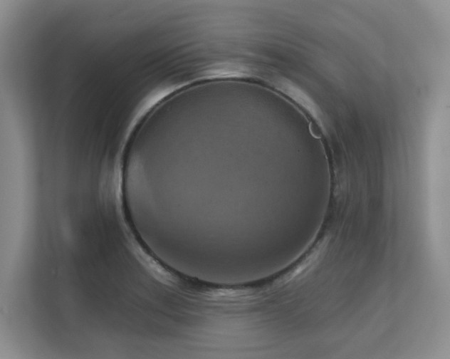 X0000111361179200907101224