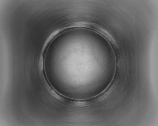 X0000111361180200907101224