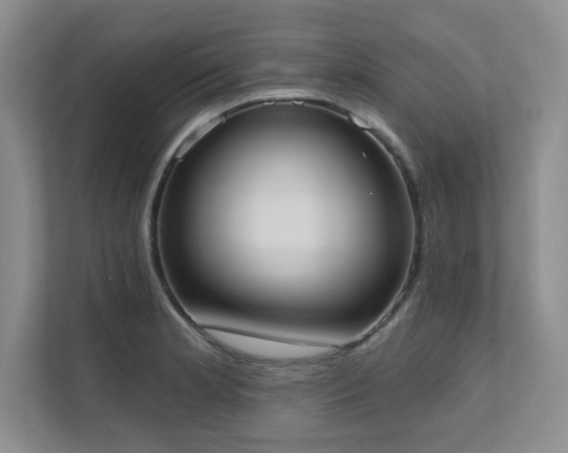 X0000111361181200907101224