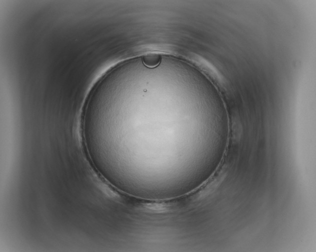 X0000111361182200907101224