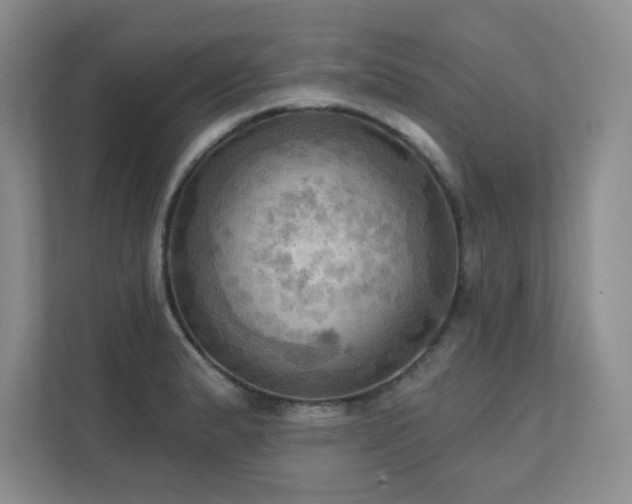 X0000111361183200907101224